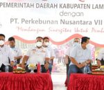 PTPN VII Siap Bersinergi, dengan Pemerintah Kabupaten Lampung Selatan