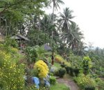 Indahnya Taman Bunga,  Di Objek Wisata Teropong Kota Kalianda